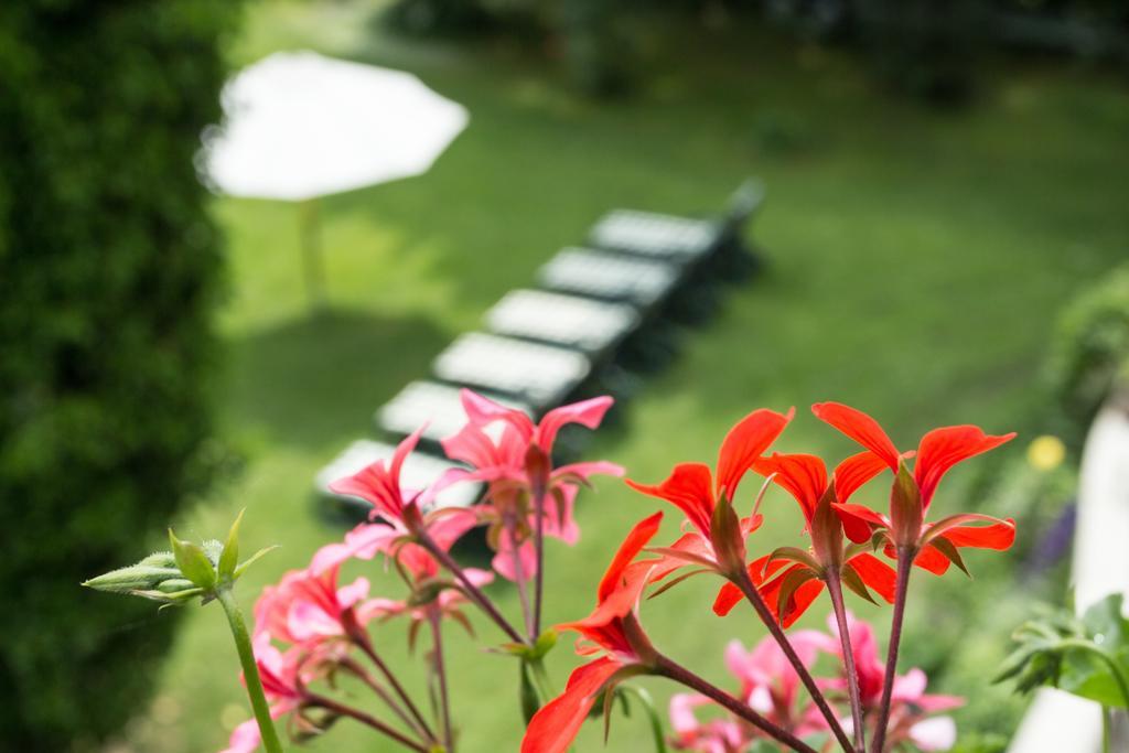 Garden-Hotel Reinhart พรีนอัมคิมซี ภายนอก รูปภาพ